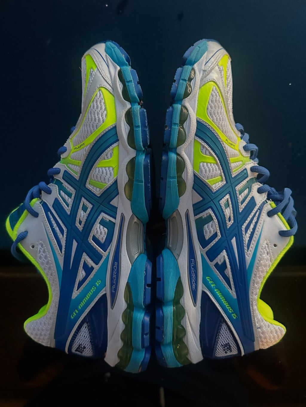 Asics Nimbus 15